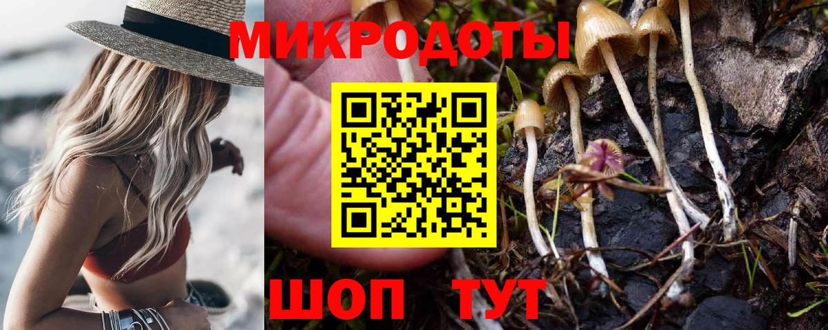 Буйнакск  Галлюциногенные грибы Psilocybine cubensis  Вход с VPN  Галлюциногенные грибы Magic Shrooms 